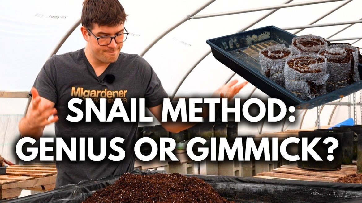 Could This Clever Seed Starting Method Be Our New FAVORITE Way to Start Seeds?!