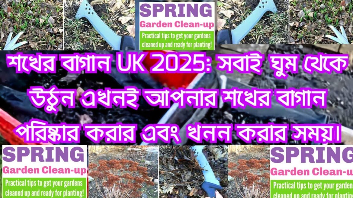 Hobby gardening UK 2025: Wake up everyone now time to clean up and dig up your hobby garden