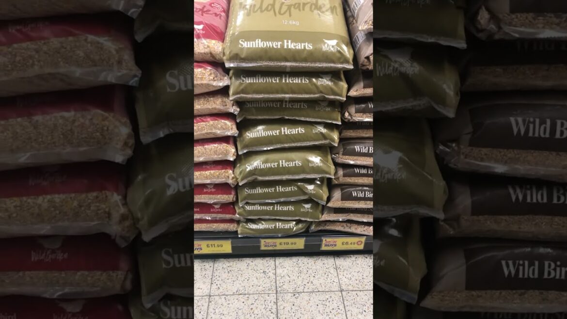 Home Bargains.  Buying, Bulk buys! Garden supplies.  Shopping!