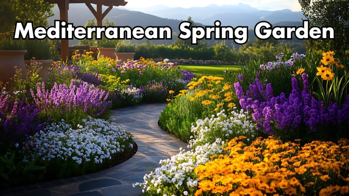 Beautiful MEDITERRANEAN Garden Designs to Try This Spring 2025
