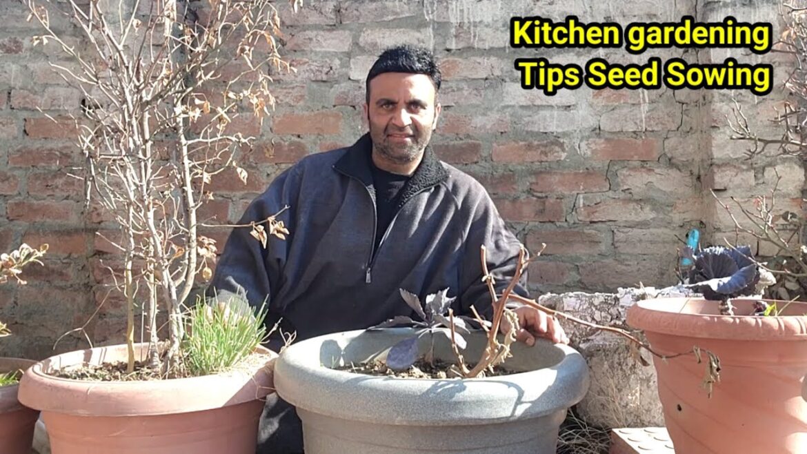 Kitchen Gardening Tips | Seed Sowing In February | Best Ideas Kitchen Gardening Tips | Seed Sowing In February | Best Ideas