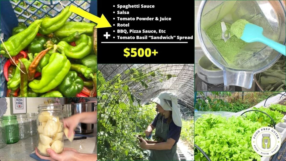 5 Most Money-Saving Plants for Your Backyard Garden 💰💰💰