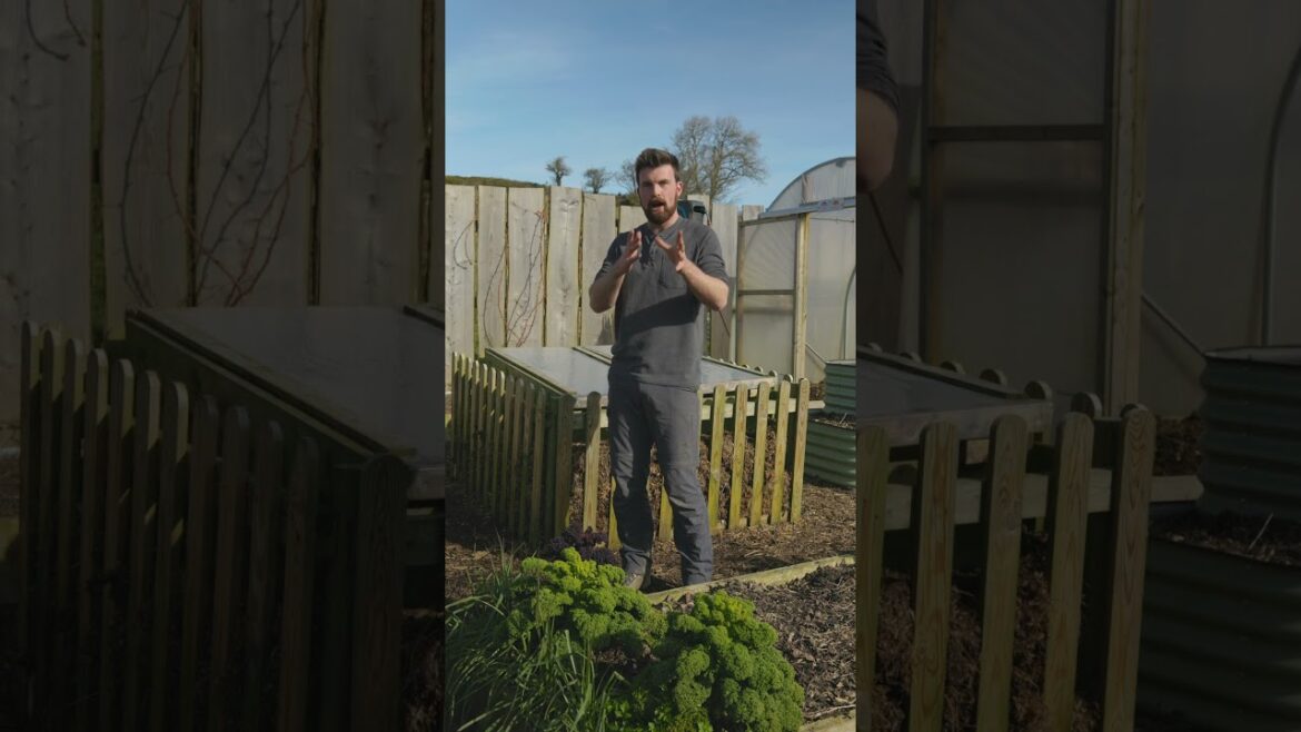 This Little Structure Is The Most Productive Part of My Garden🌿