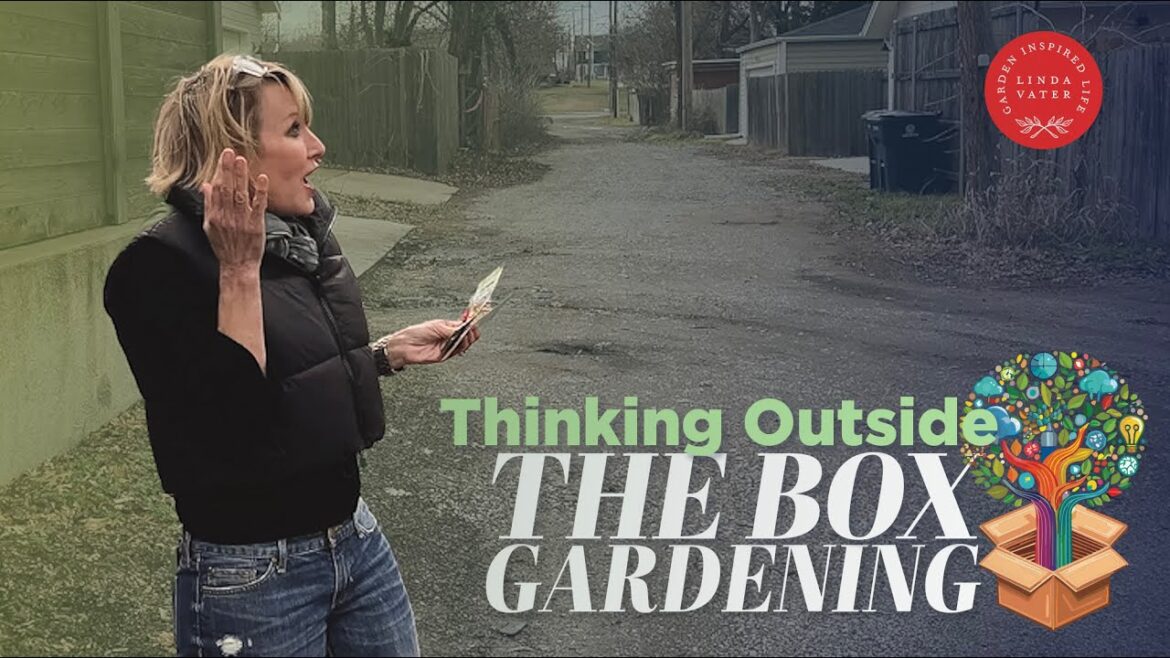 Thinking Outside The Box Gardening Thinking Outside The Box Gardening