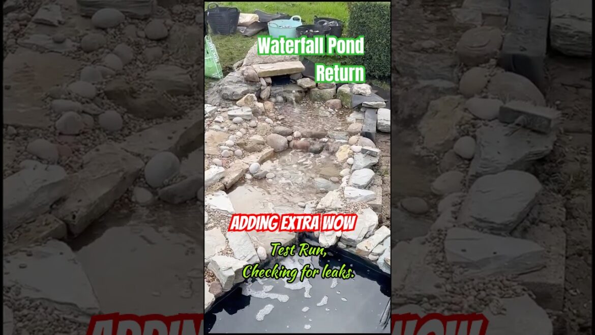 Building the ULTIMATE Backyard Waterfall!