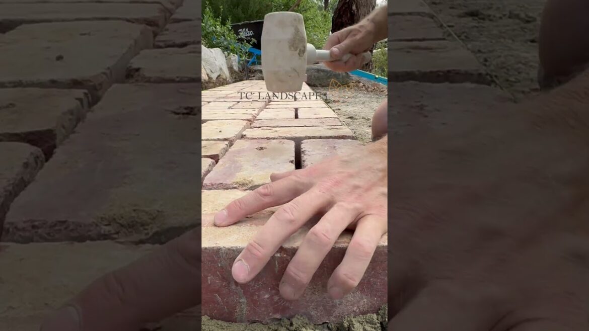 bricks on mortar  #backyarddesign #gardendesign #garden