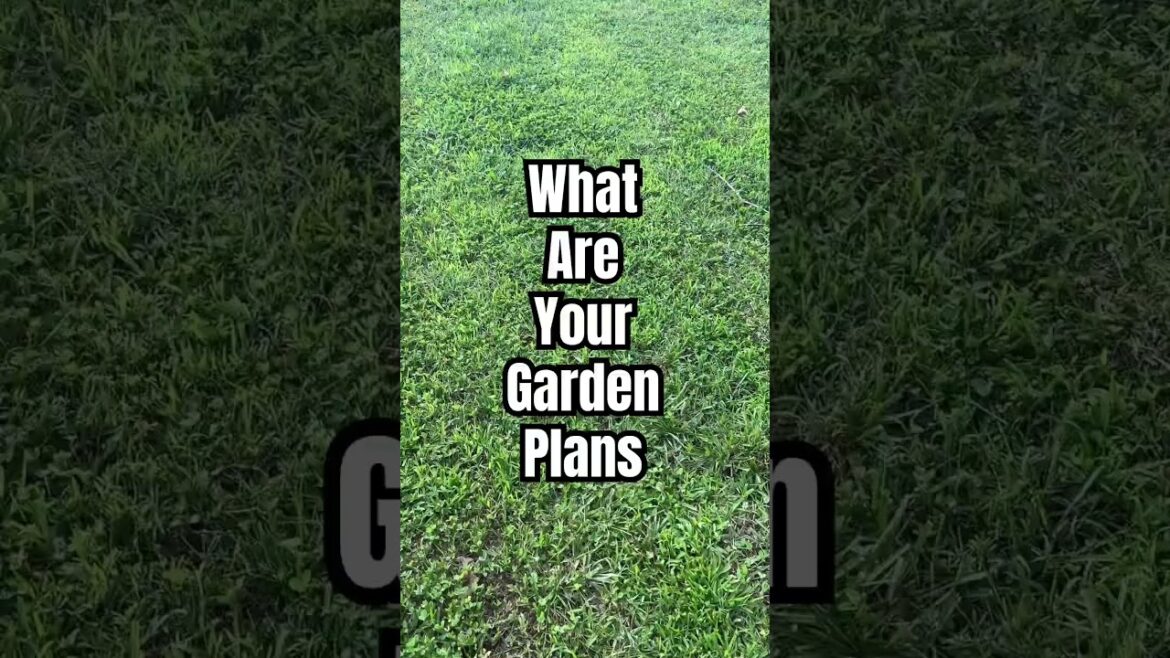 What are your garden plans?  #gardening #chicken #shorts