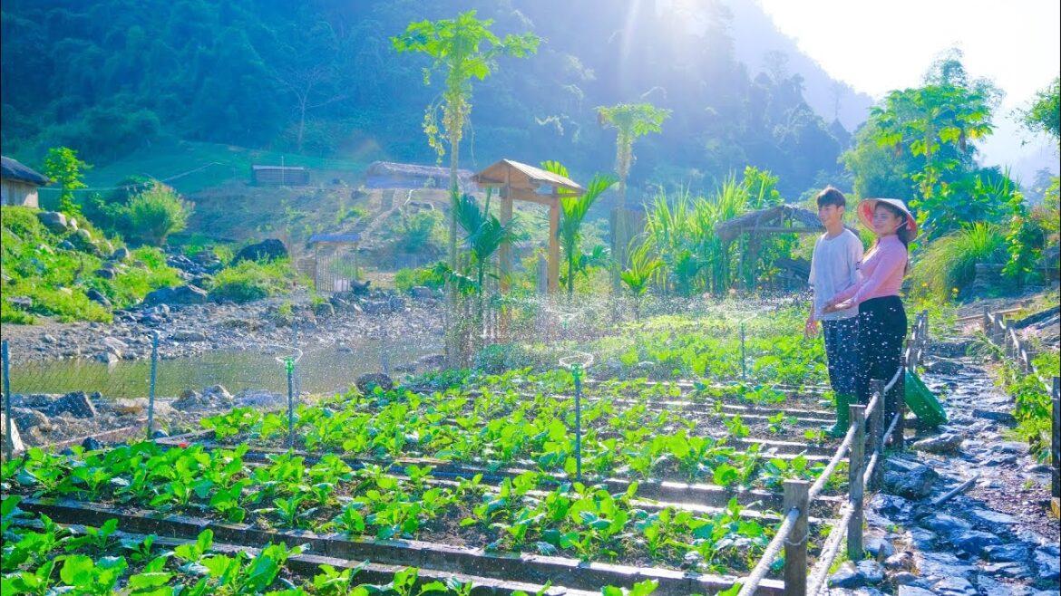 Gardening tips SANG VY! Install a SUSTAINABLE Irrigation System For The Farm Clean Vegetable Garden