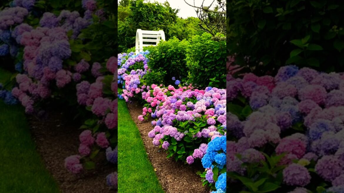 Enchanting Garden Decor Ideas #shorts