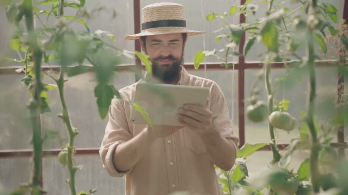 Maximize Your Space: Small Space Vegetable Gardening Tips! 🌱