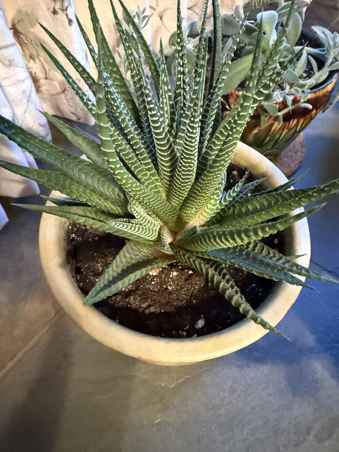 How do I remove the babies safely?