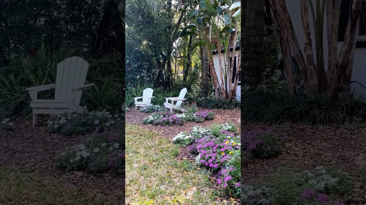 ☀️🌸 Beautiful Morning in My Colorful Front Garden! #gardening #flowers #springgarden #shorts