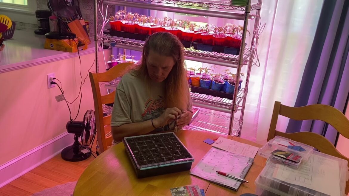 Garden Plans and Starting Seeds