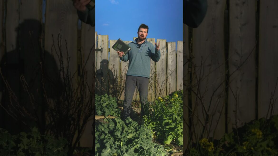 A Powerful Message For Every Single Gardener🌿 #shorts #permaculture