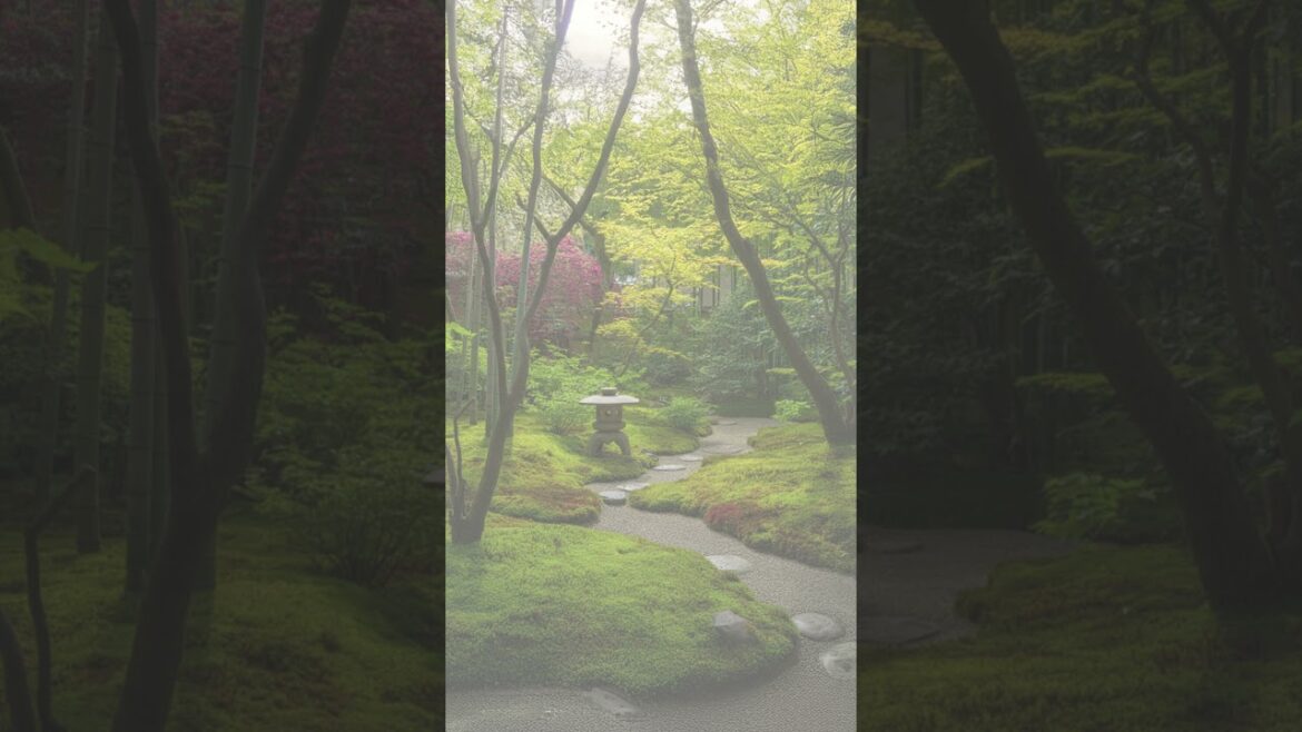 Enjoy the view of a Japanese garden! Ideas for blending Japanese elements into modern life #shorts