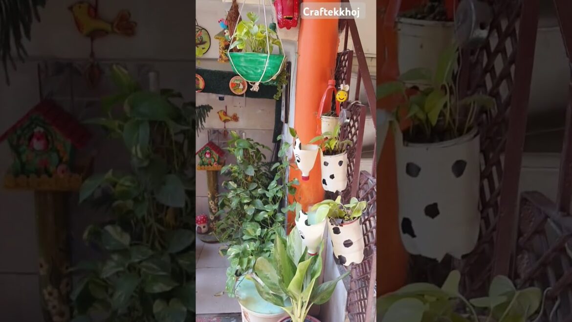 small garden  tour#diy#shorts#youtube#gardentour#plans/Craftekkhoj