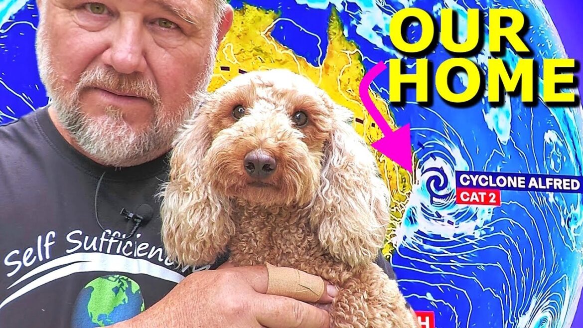 What I’m Doing to PREPARE for a CYCLONE | Cyclone Alfred What I’m Doing to PREPARE for a CYCLONE | Cyclone Alfred