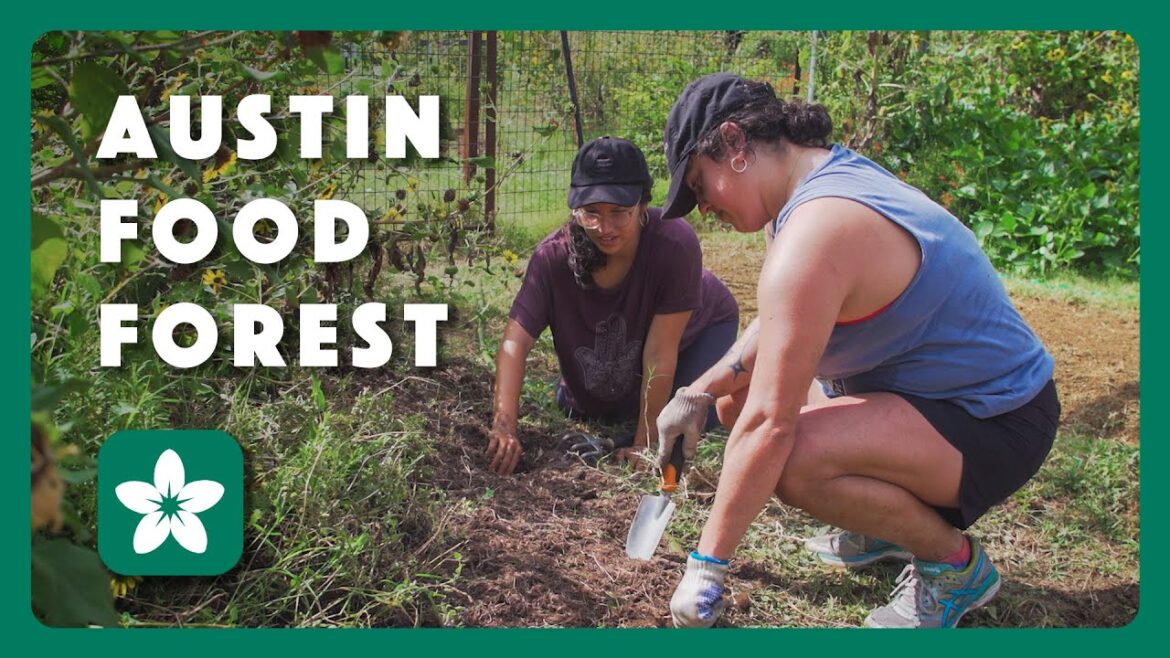 Austin Food Forest