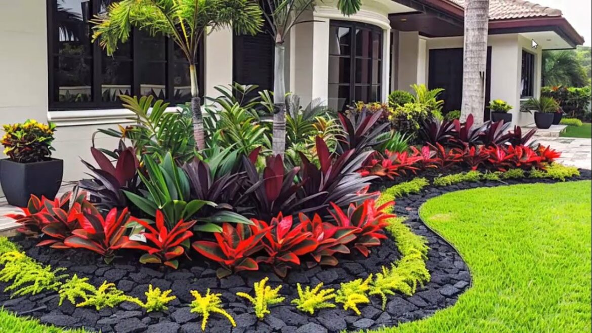 Easy & Stunning Front Yard Garden Ideas for 2025 | Low-Maintenance Plants
