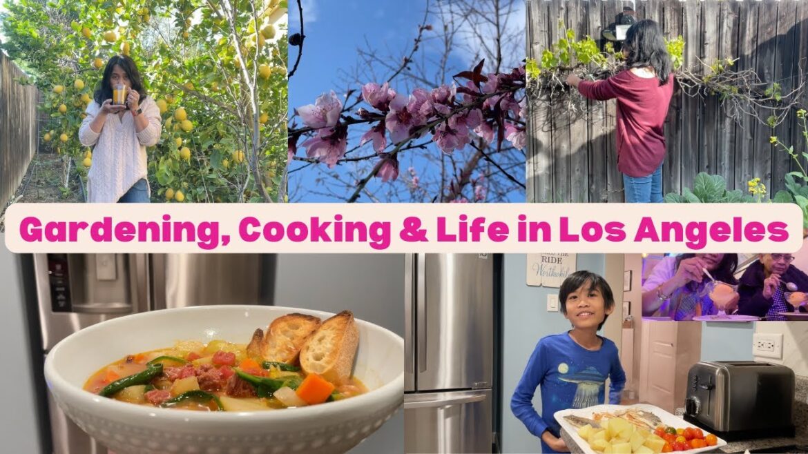 Filipino Garden, Cooking and Life in Los Angeles Vlog 🌱🌸 🍋