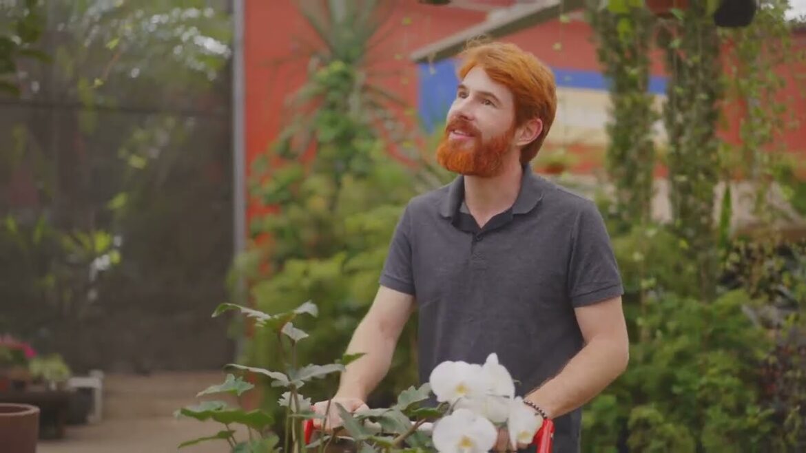 Hybrid Vegetable Gardening: Combining Hydroponics & Soil Cultivation 🌱💧