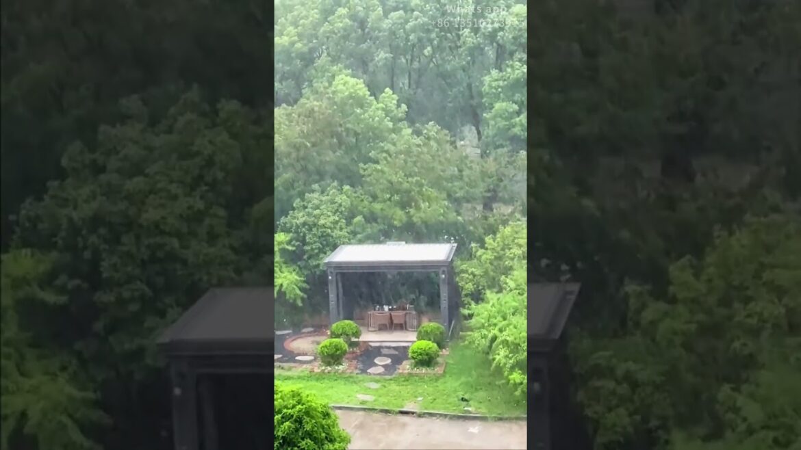 You can install a pavilion in your yard with just one month’s salary!#foryou #decoration#yard  #home