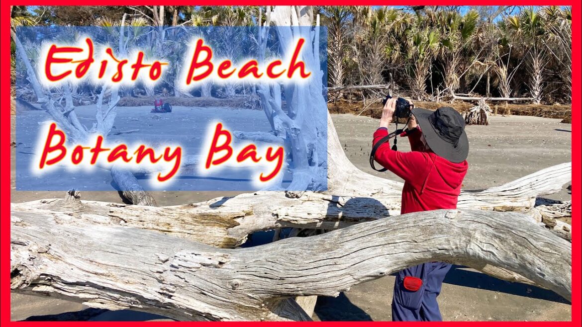 A Look at Edisto Beach and Botany Bay in March!