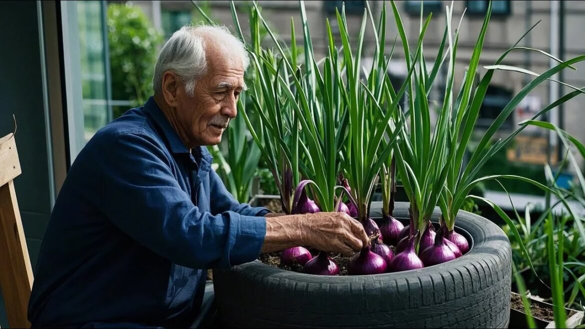 TOP 29 Useful Tips & Tricks Balcony Vegetable Gardening for Beginners TOP 29 Useful Tips & Tricks Balcony Vegetable Gardening for Beginners