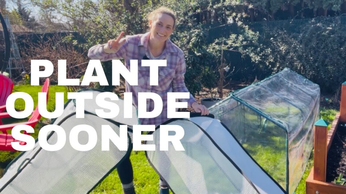 Plant your seedling outside NOW! how I’m using row covers to extend my season