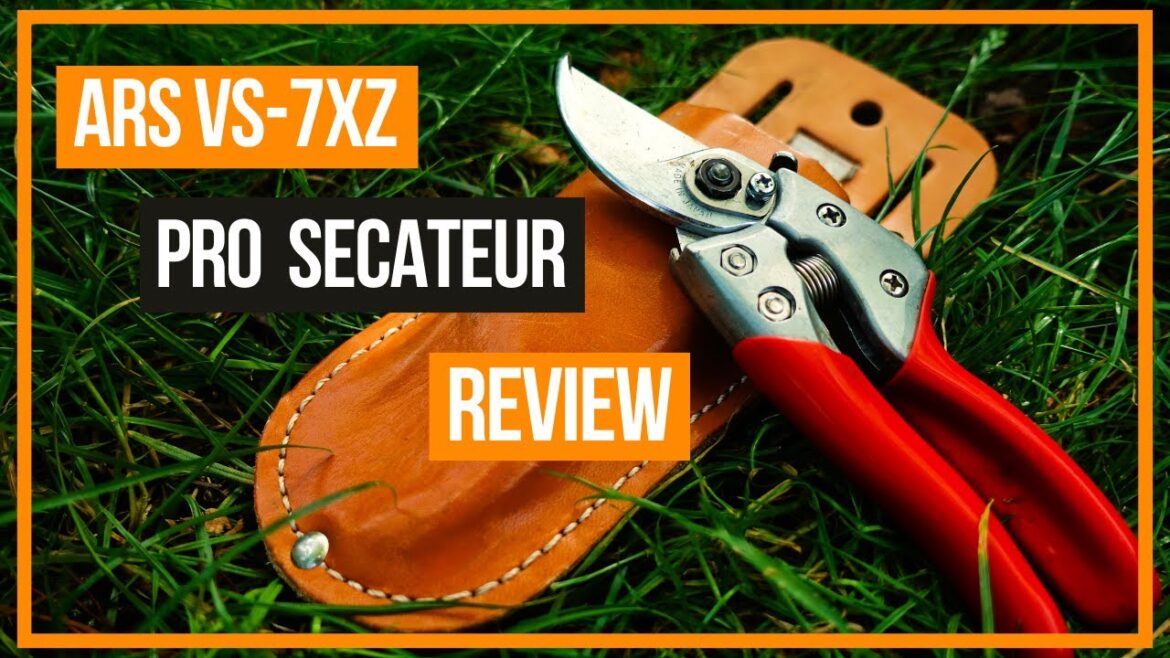 ARS VS-7XZ Secateurs: Top Performance Without Breaking the Bank! ARS VS-7XZ Secateurs: Top Performance Without Breaking the Bank!