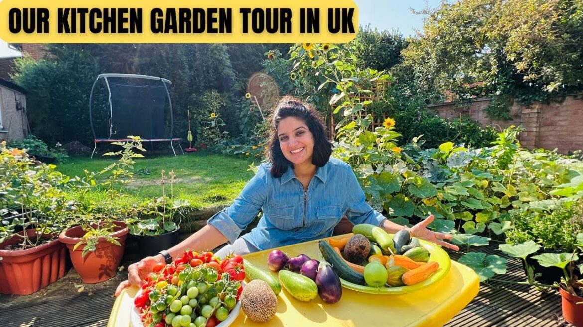Tour of Our Kitchen Garden in UK 🇬🇧 | Vegetable Garden Tour | Harvesting from Kitchen Garden