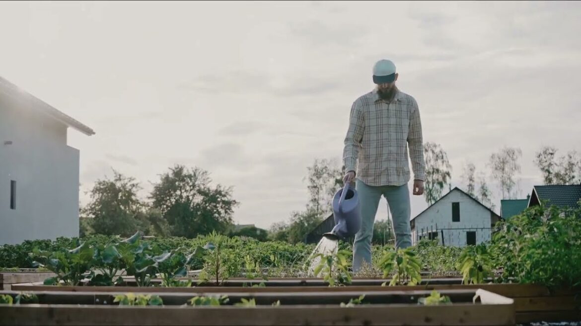 Climate-Resilient Vegetable Gardening: Tips for Extreme Weather 🌦️🌱