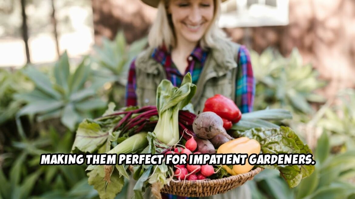 5 Best Vegetables for CONTAINER Gardening – No Yard Needed