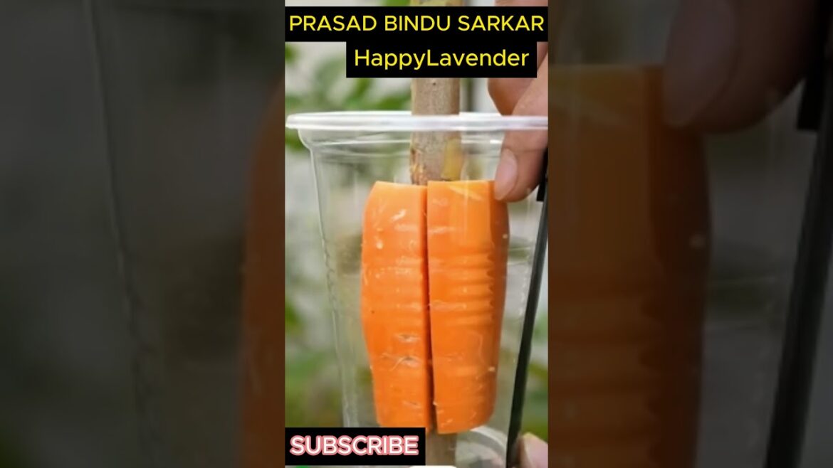 Entertainment, #Shorts, #You tube Shorts, #YT Shorts, # Trendy, #Viral, #Funny Entertainment, #Shorts, #You tube Shorts, #YT Shorts, # Trendy, #Viral, #Funny