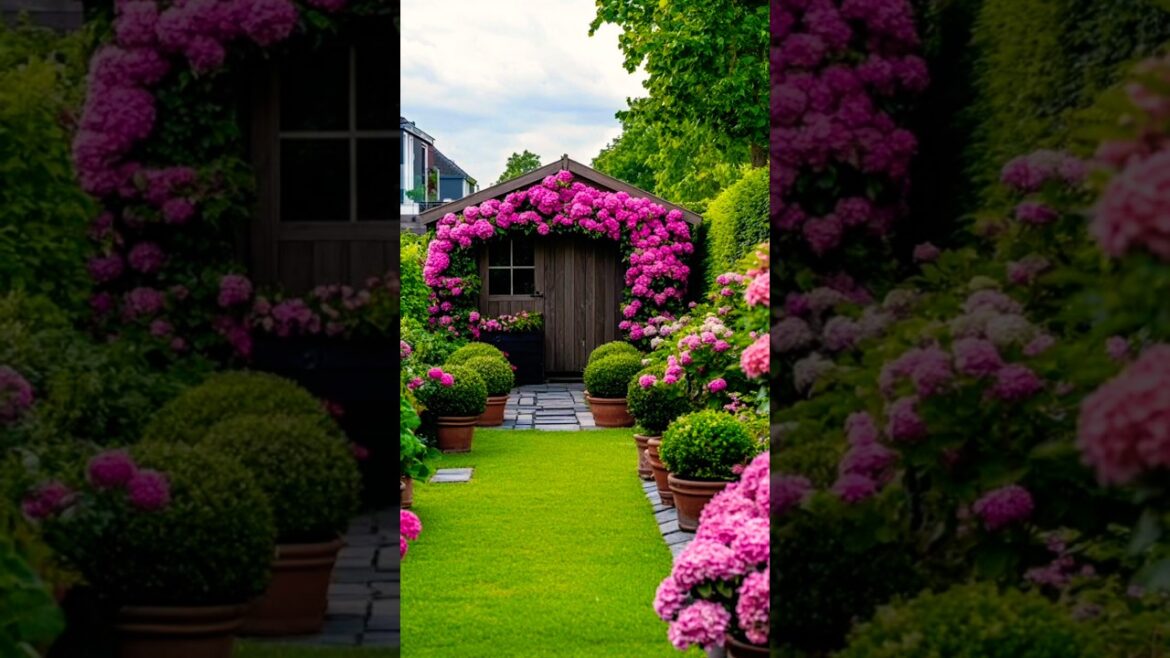gardening lovers, beautiful garden design ideas 🏡🏘️🍄🌿🏘️🍄🌴🏘️🍄#shorts