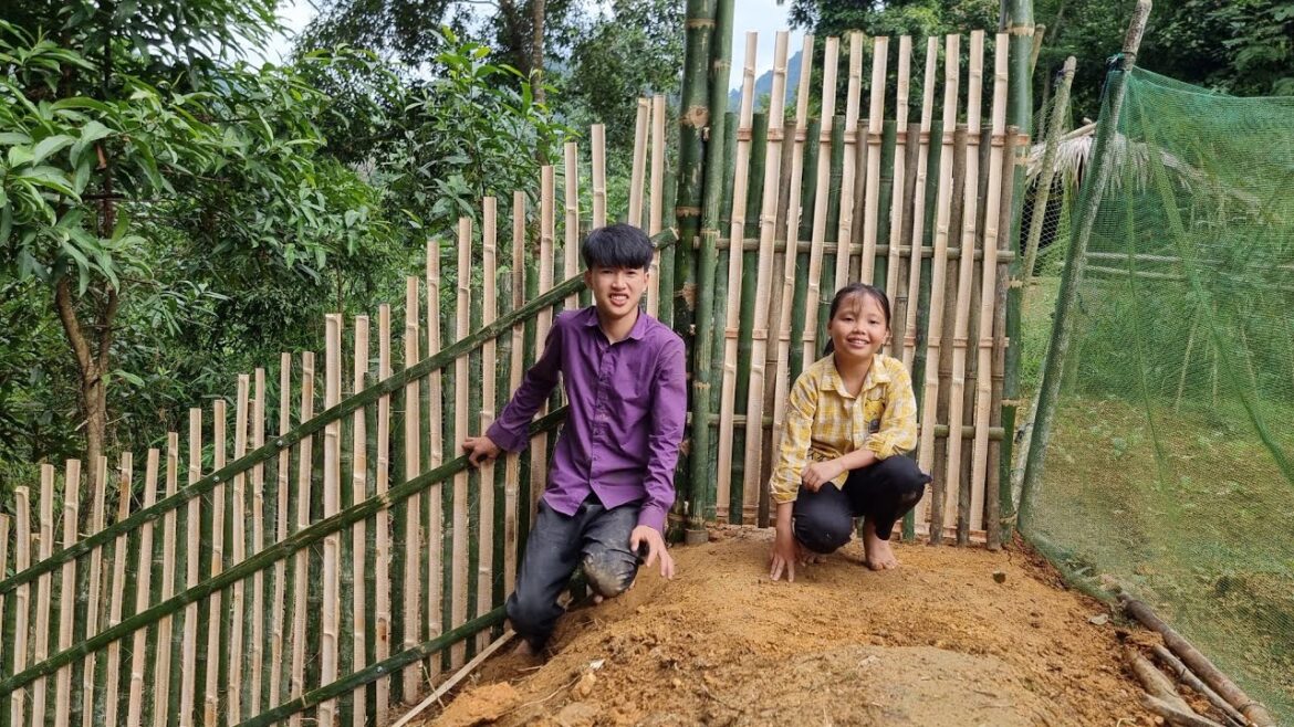 TWO BROTHERS HARVESTING FARM PRODUCTS TO SELL, Farm building, Vegetable gardening - Ly Dinh Quang