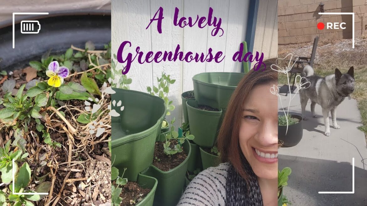New Greenhouse Plans, Seedlings + Mini Garden Tour
