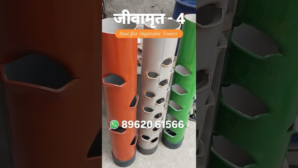 ऐसे बनायें जीवामृत – How to make Jeevamrit Veg Roof Vegetable Gardening Tips, Part – 4 ऐसे बनायें जीवामृत - How to make Jeevamrit Veg Roof Vegetable Gardening Tips, Part - 4