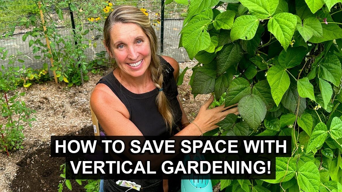 Vertical Gardening: Grow MORE food in LESS space! Vertical Gardening: Grow MORE food in LESS space!
