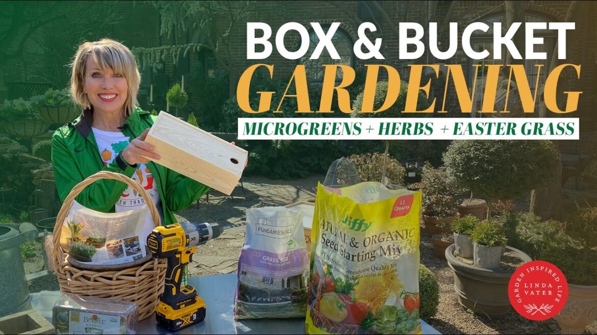 HOW FUN IS THIS! Planting Boxes and Buckets HOW FUN IS THIS! Planting Boxes and Buckets