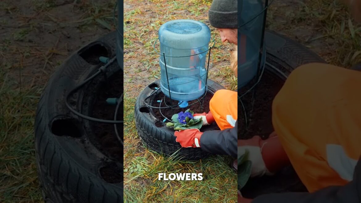Turn an Old Tire into an Automatic Garden Sprinkler! ♻️💧 DIY Eco-Friendly Hack