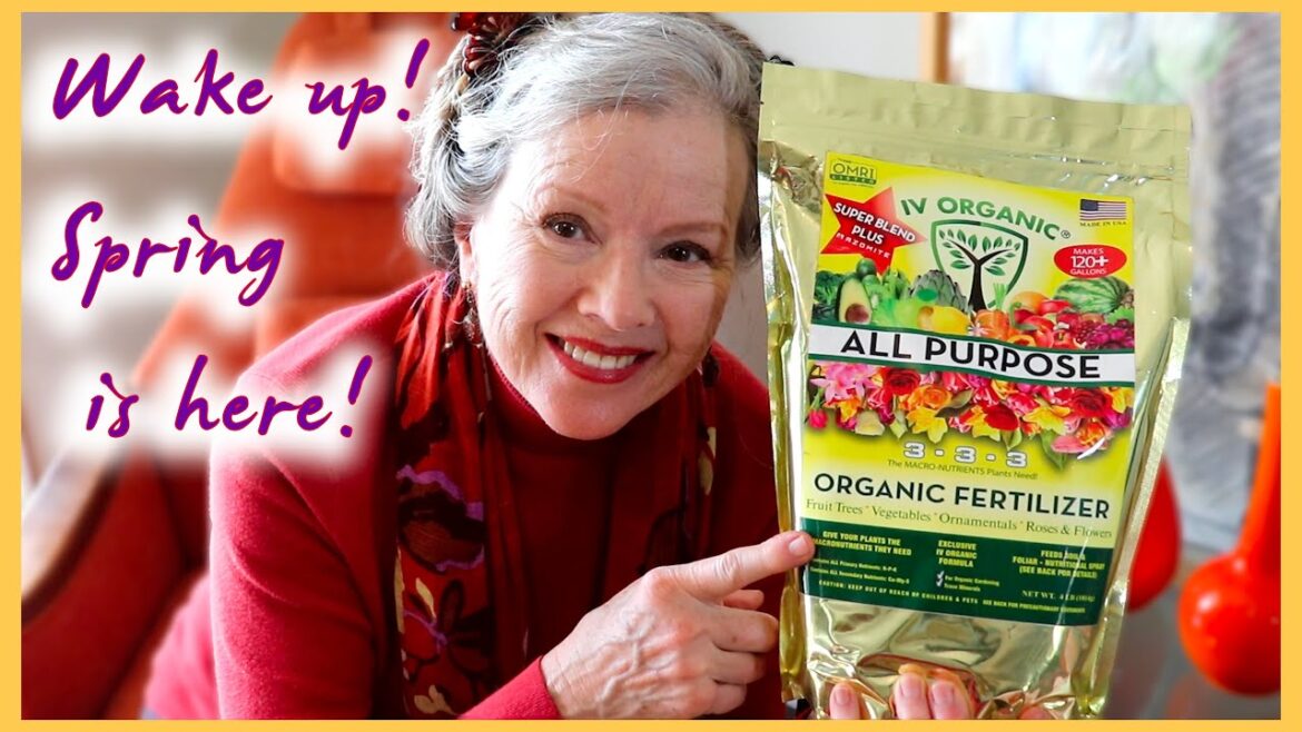 Getting it DONE! Strawberry Reboot and Raised Bed Build | TIPS