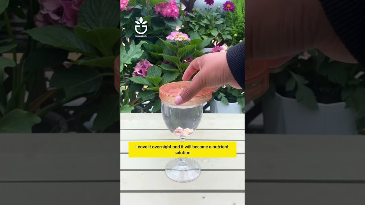 Useful tips for your garden #garden #namrose #gardening