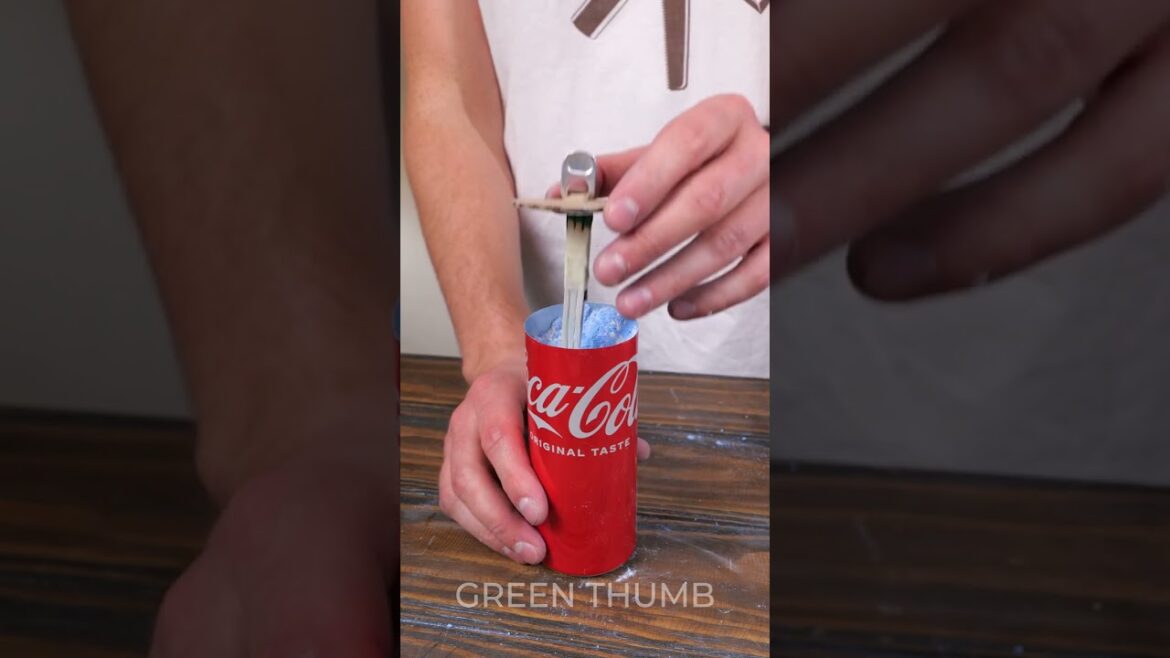 Unlock the Secrets to Mosquito-Proofing Yourself!🦟 Unlock the Secrets to Mosquito-Proofing Yourself!🦟