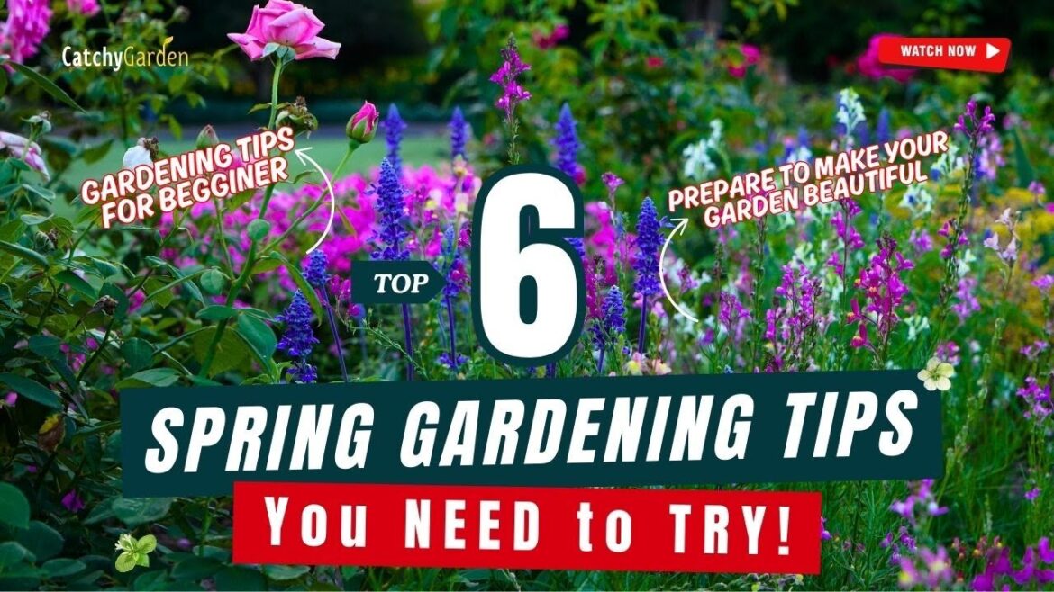 Top 6 Spring Gardening Tips You NEED to TRY! πΈππ· // Gardening Ideas Top 6 Spring Gardening Tips You NEED to TRY! πΈππ· // Gardening Ideas