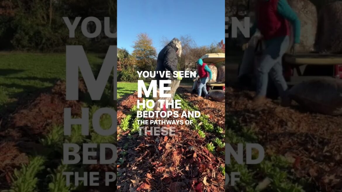 Under $10 gifts! Sod knife & gloves are a farmer’s best friend