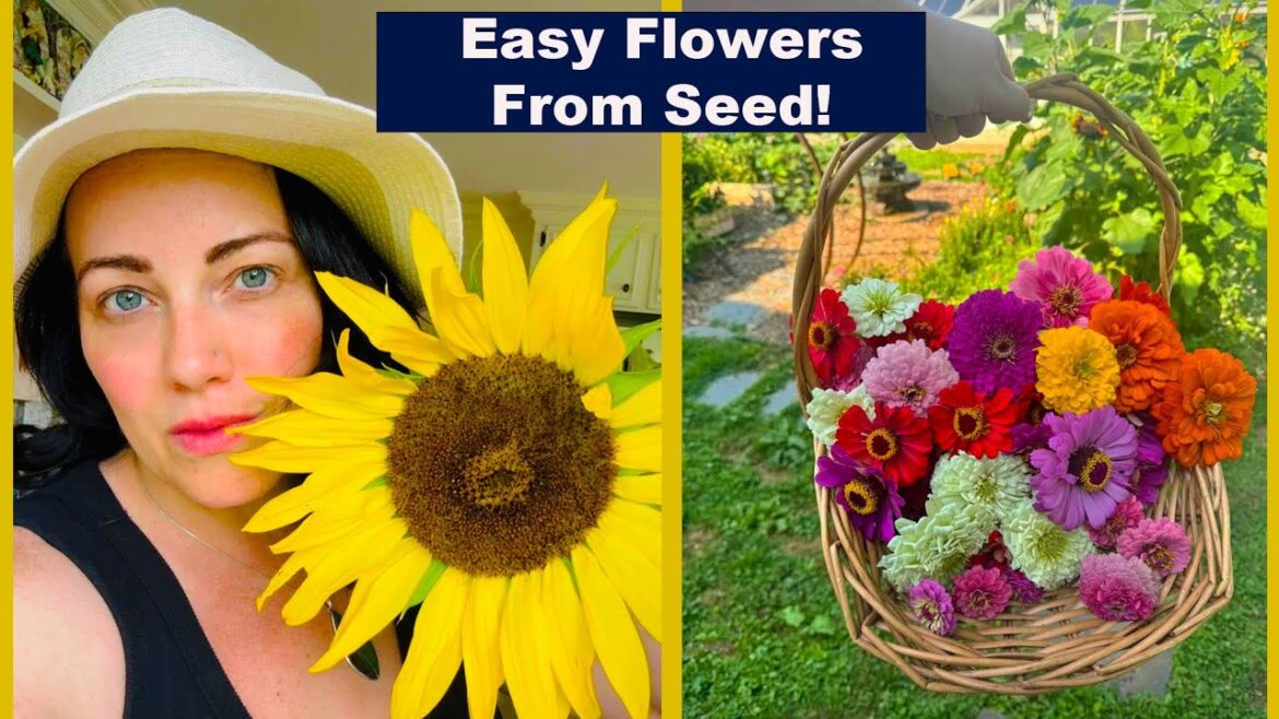 Easy Flowers To Grow From Seed! | Beginner Gardening