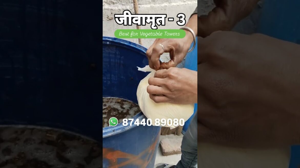 ऐसे बनायें जीवामृत - How to make Jeevamrit   Veg Roof Vegetable Gardening Tips, Part - 3