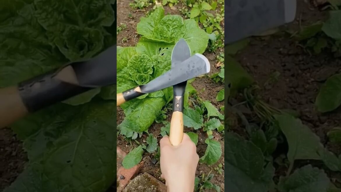 Gardening tools #gardening