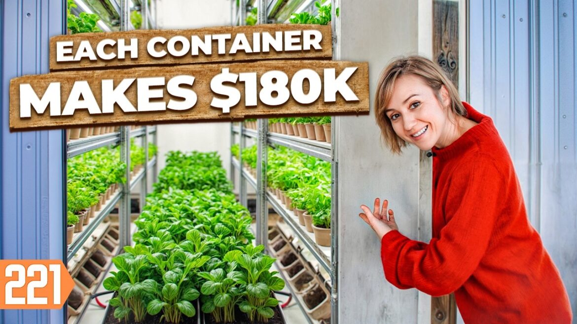 Shipping Container Farming is the Future! Shipping Container Farming is the Future!